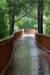 Quand les bouddhismes se rencontrent