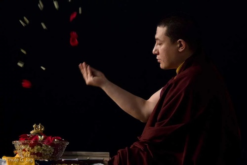 Karmapa parle de la nature humaine