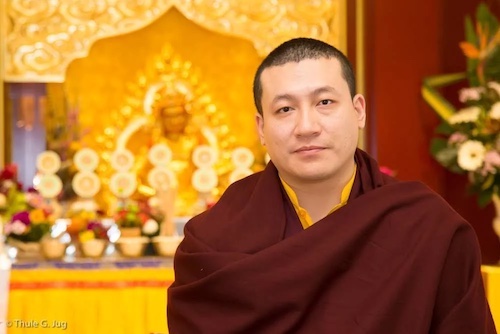 Su Santidad el XVII Gyalwa Karmapa comparte la siguiente meditación la víspera de Vesak 2020.