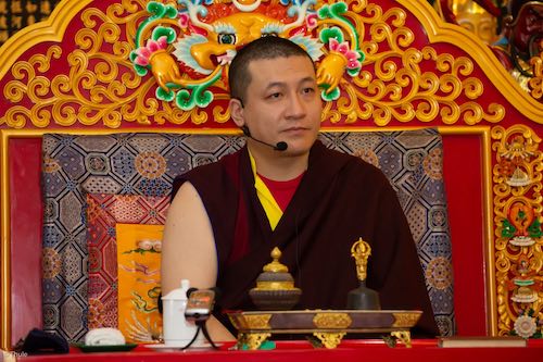 Thayé Dorjé, Sa Sainteté le XVIIe Gyalwa Karmapa