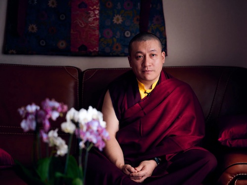 Karmapa au sujet de la pratique de la non-violence dans le bouddhisme
