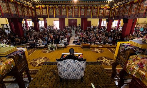 Stage public de Karmapa 2023 en streaming