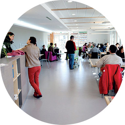 Un réseau de bibliothèques pour préserver les enseignements et les rendre accessibles Un réseau de bibliothèques pour préserver les enseignements et les rendre accessibles