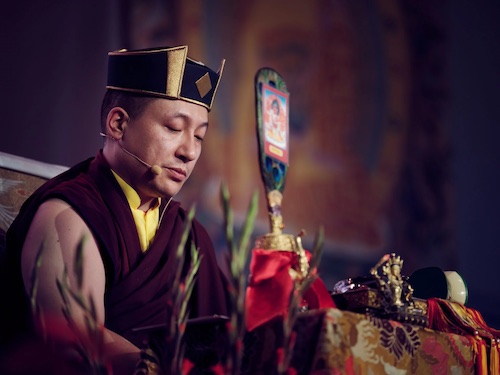 Sa Sainteté le XVIIe Gyalwa Karmapa, partage quelques méditations pour l'époque actuelle