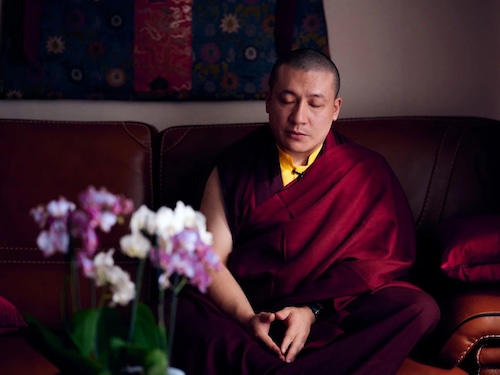 Le 40e anniverdaire de Karmapa