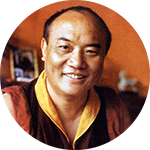 Rangjung Rigpé Dorjé,Sa Sainteté le XVIe Gyalwa Karmapa