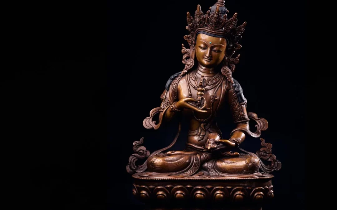 Karmapa – À propos de la purification