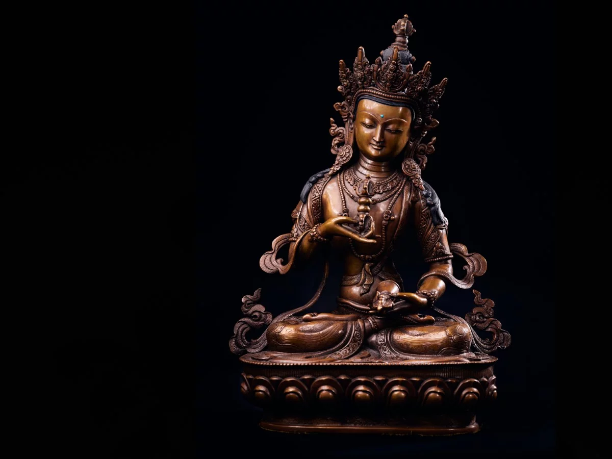 Karmapa - À propos de la purification